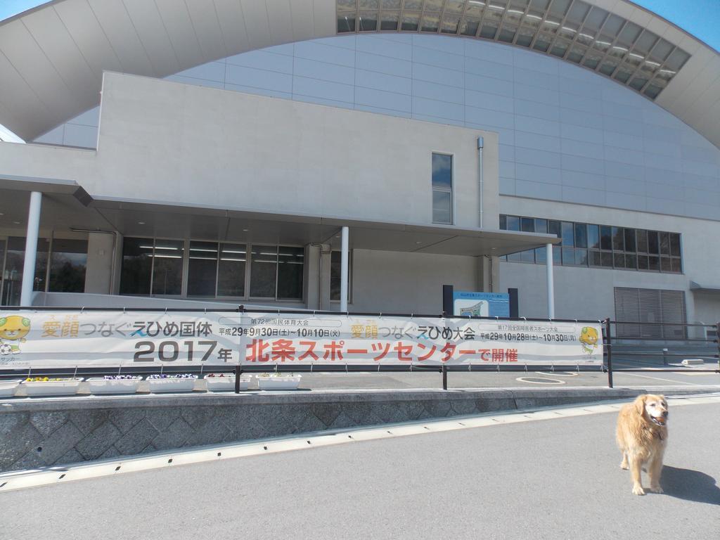 Hojo Suigun Youth Hostel Matsuyama  Dış mekan fotoğraf