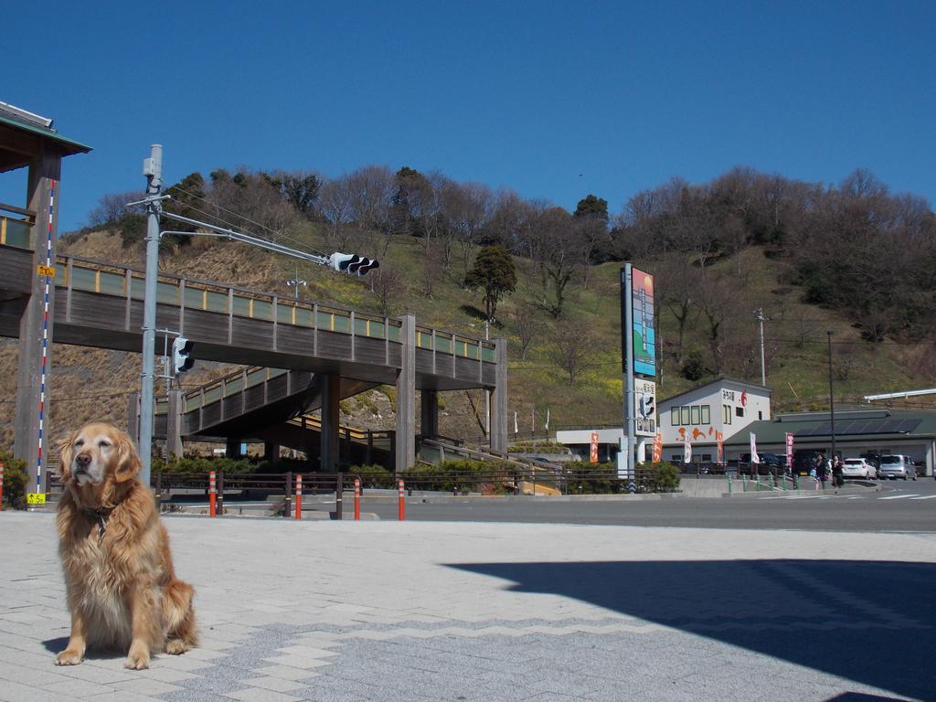 Hojo Suigun Youth Hostel Matsuyama  Dış mekan fotoğraf